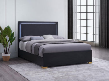 222831Q  Marceline Wood Queen LED Panel Bed Black