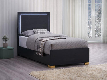222831T  Marceline Wood Twin LED Panel Bed Black